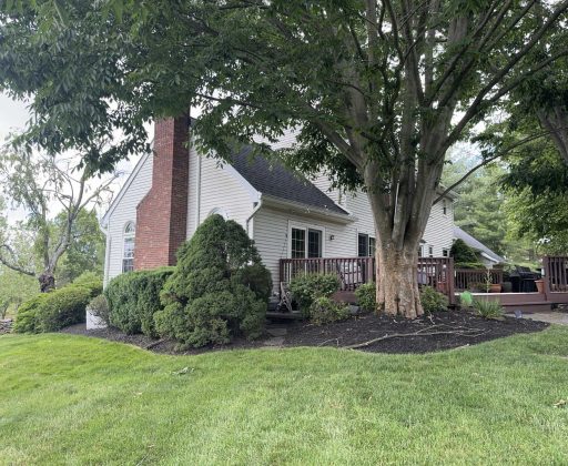 { "identifier" : "35377352-e273-4664-b19e-7a4183331e24", "deviceOrientation" : "landscape_left", "cameraType" : "av"}