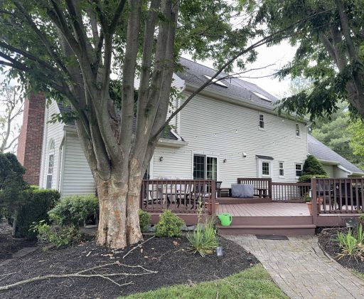 { "cameraType" : "av", "identifier" : "ff005e91-3b93-4d48-bef8-6ddf93fd1dcd", "deviceOrientation" : "landscape_left"}